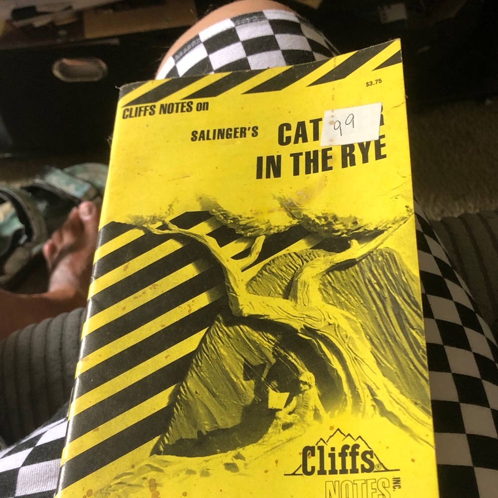 Notes Yellow Cat in the Rye Study Guide -
